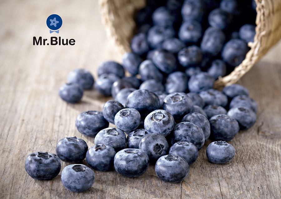 Grufesa presenta en Fruit Attraction que lanzará al mercado arándanos ‘Mr.Blue’