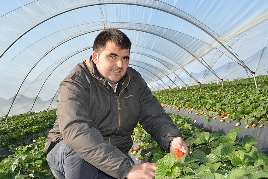 Luis Miguel Ollero: “Espero jubilarme en mi campo, con mis fresas”