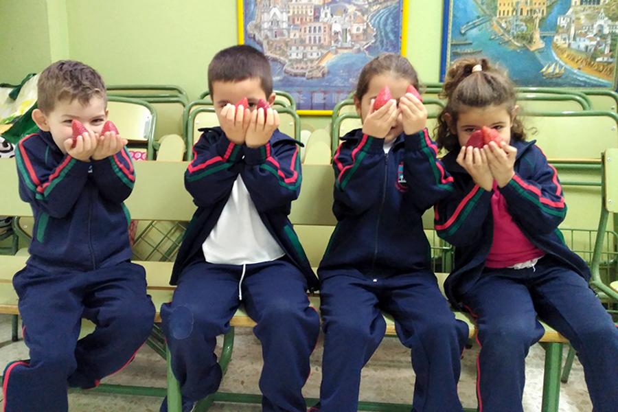 Grufesa ofrece fresas para un desayuno saludable a los niños del colegio Arias Montano