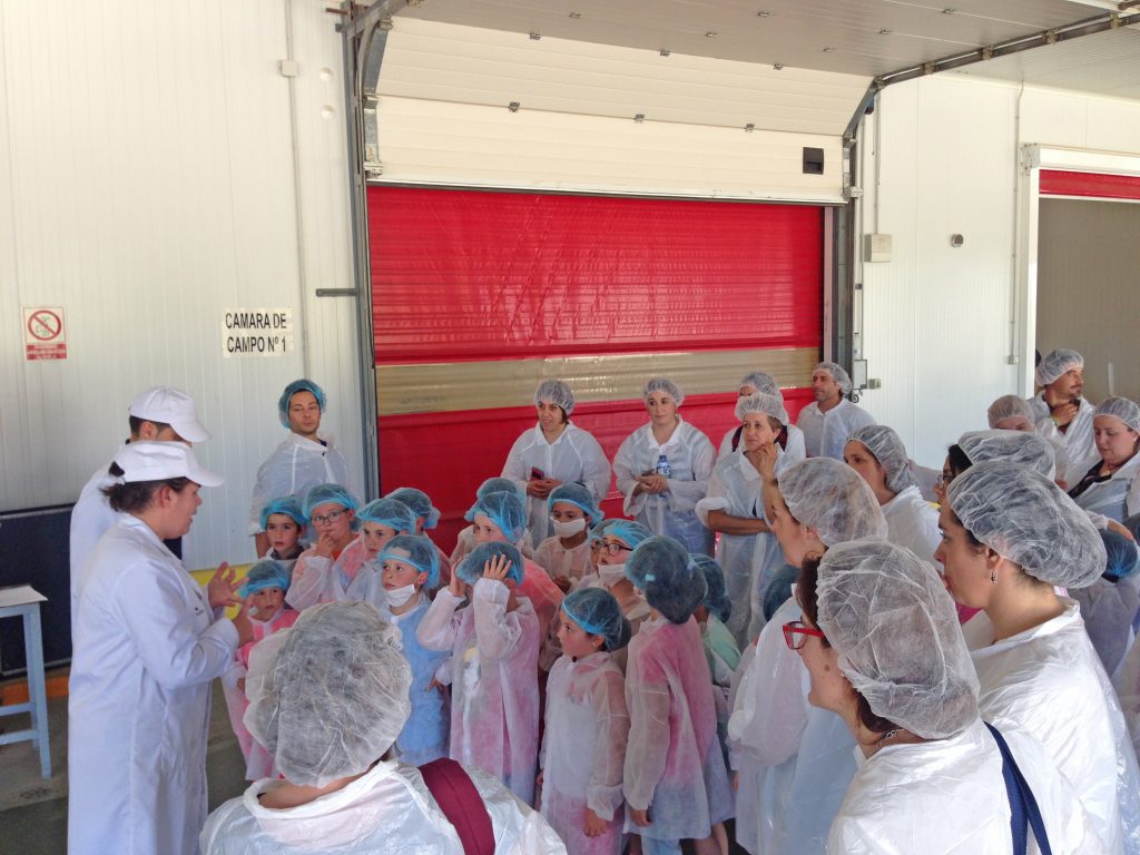 Grufesa enseña el cultivo de la fresa a los alumnos de Primaria del colegio José Nogales de Aracena