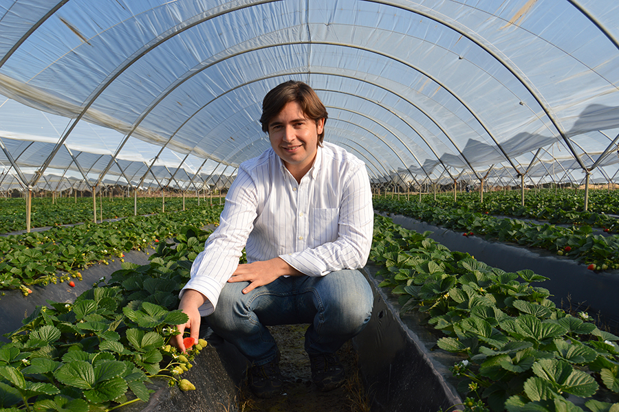 Juanjo Valls: “Nuestros clientes nos identifican claramente con ese gen de innovación y sostenibilidad”